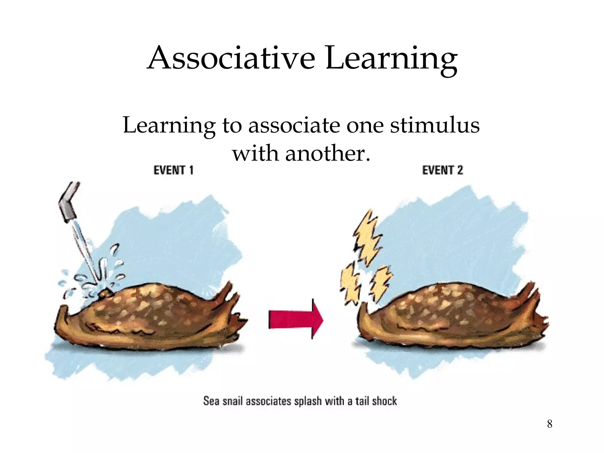 8
Associative Learning
Learning to associate one stimulus
with another.
 