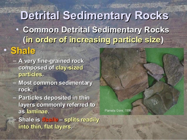 ch07 sedimentary rocks if all the particles in a detrital sedimentary rock are nearly the same size it is