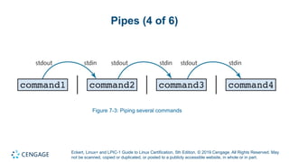 Powerpoint on Chapter 7 focusing on Linux BASH | PPTX