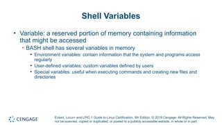 Powerpoint on Chapter 7 focusing on Linux BASH | PPTX