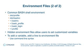 Powerpoint on Chapter 7 focusing on Linux BASH | PPTX
