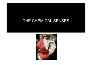 THE CHEMICAL SENSES
 