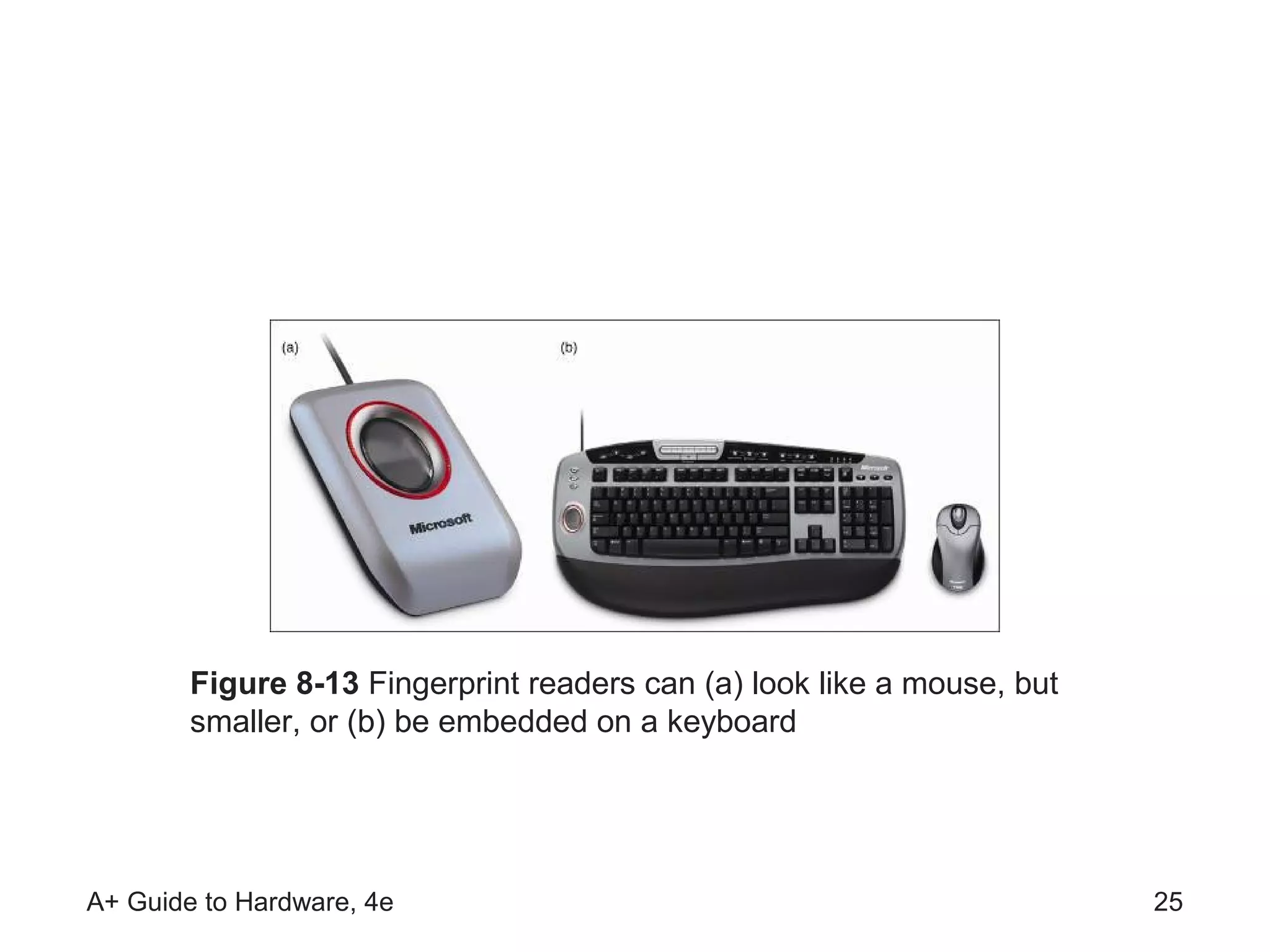 Figure 8-13 Fingerprint readers can (a) look like a mouse, but
        smaller, or (b) be embedded on a keyboard




A+ Guide to Hardware, 4e                                                 25
 