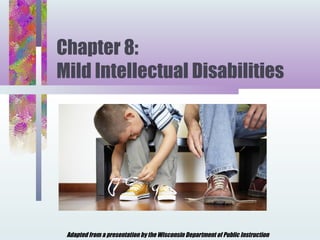 Chapter 8:
Mild Intellectual Disabilities




 Adapted from a presentation by the Wisconsin Department of Public Instruction
 