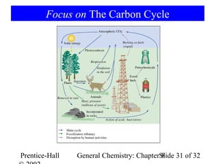 Focus on The Carbon Cycle




Prentice-Hall   General Chemistry: ChapterSlide 31 of 32
                                           8
 