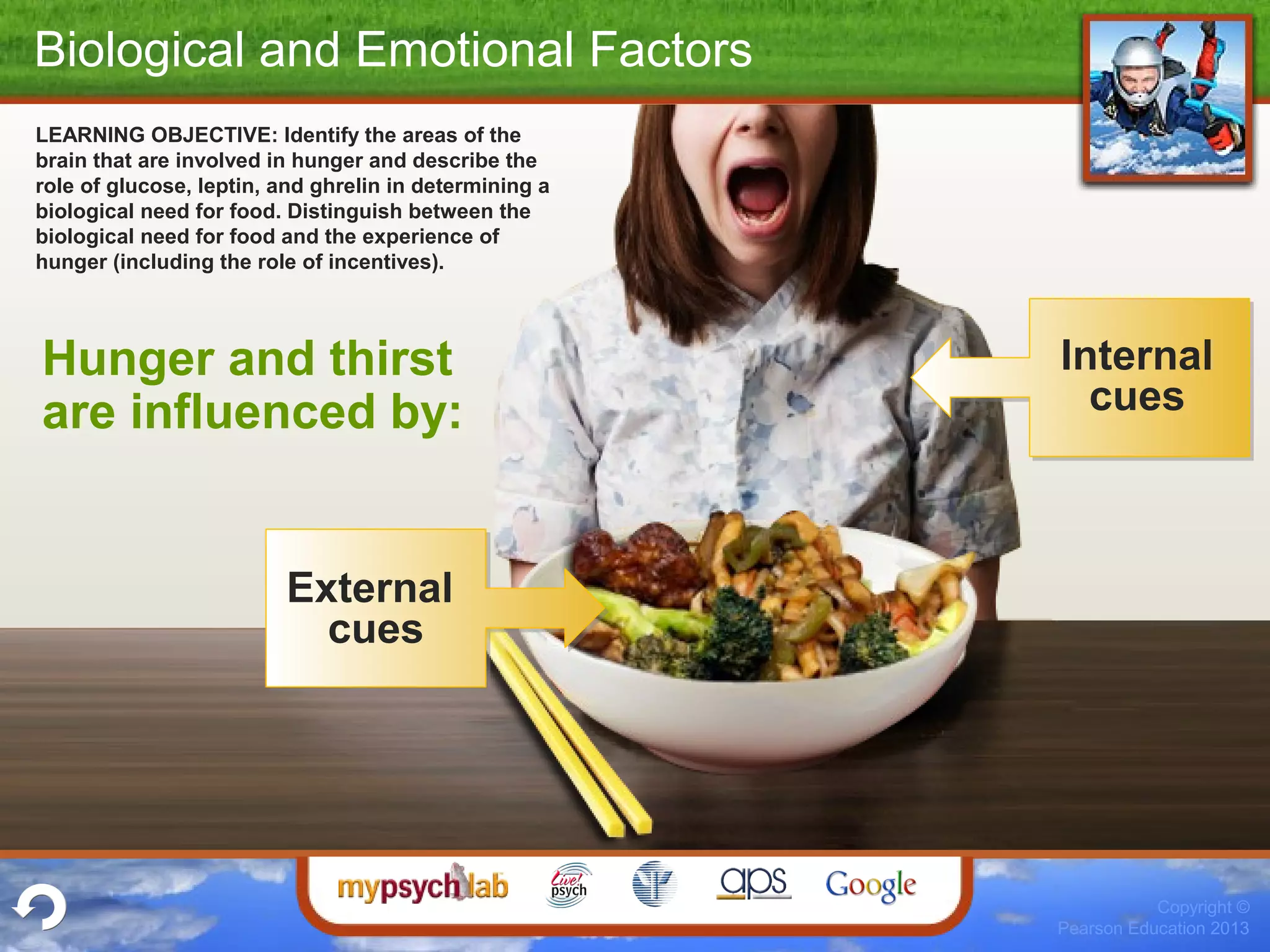 Copyright ©
Pearson Education 2013
Biological and Emotional Factors
Hunger and thirst
are influenced by:
LEARNING OBJECTIVE: Identify the areas of the
brain that are involved in hunger and describe the
role of glucose, leptin, and ghrelin in determining a
biological need for food. Distinguish between the
biological need for food and the experience of
hunger (including the role of incentives).
Internal
cues
External
cues
 