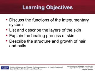 Copyright ©2009 by Pearson Education, Inc.
Upper Saddle River, New Jersey 07458
All rights reserved.
Anatomy, Physiology, and Disease: An Interactive Journey for Health Professionals
Bruce J. Colbert, Jeff E. Ankney, and Karen T. Lee
Learning Objectives
• Discuss the functions of the integumentary
system
• List and describe the layers of the skin
• Explain the healing process of skin
• Describe the structure and growth of hair
and nails
 