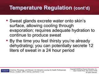 Copyright ©2009 by Pearson Education, Inc.
Upper Saddle River, New Jersey 07458
All rights reserved.
Anatomy, Physiology, and Disease: An Interactive Journey for Health Professionals
Bruce J. Colbert, Jeff E. Ankney, and Karen T. Lee
• Sweat glands excrete water onto skin’s
surface, allowing cooling through
evaporation; requires adequate hydration to
continue to produce sweat
• By the time you feel thirsty you’re already
dehydrating; you can potentially secrete 12
liters of sweat in a 24 hour period
Temperature Regulation (cont’d)
 
