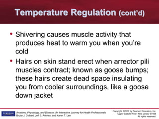Copyright ©2009 by Pearson Education, Inc.
Upper Saddle River, New Jersey 07458
All rights reserved.
Anatomy, Physiology, and Disease: An Interactive Journey for Health Professionals
Bruce J. Colbert, Jeff E. Ankney, and Karen T. Lee
Temperature Regulation (cont’d)
• Shivering causes muscle activity that
produces heat to warm you when you’re
cold
• Hairs on skin stand erect when arrector pili
muscles contract; known as goose bumps;
these hairs create dead space insulating
you from cooler surroundings, like a goose
down jacket
 