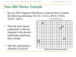 How SBH Works: Example
• Say our DNA fragment hybridizes to indicate that it contains
the following substrings: GCAA, CAAA, ATAG, TAGG,
ACGC, GGCA.
• Then the most logical
explanation is that our
fragment is the shortest
superstring containing
these strings!
• Here the superstring is:
ATAGGCAAACGC DNA Microarray Interpreted
 