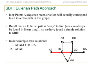 SBH: Eulerian Path Approach
• Key Point: A sequence reconstruction will actually correspond
to an Eulerian path in this graph.
• Recall that an Eulerian path is ―easy‖ to find (one can always
be found in linear time)…so we have found a simple solution
to SBH!
• In our example, two solutions:
1. ATGGCGTGCA
2. ATGC AT
GT CG
CAGCTG
GG
 