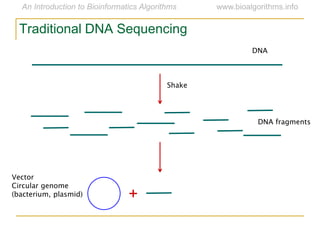 +
DNA
Shake
DNA fragments
Vector
Circular genome
(bacterium, plasmid)
Traditional DNA Sequencing
 