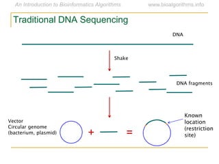 + =
DNA
Shake
DNA fragments
Vector
Circular genome
(bacterium, plasmid)
Known
location
(restriction
site)
Traditional DNA Sequencing
 