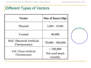 Different Types of Vectors
Vector Size of Insert (bp)
Plasmid 2,000 - 10,000
Cosmid 40,000
BAC (Bacterial Artificial
Chromosome)
70,000 - 300,000
YAC (Yeast Artificial
Chromosome)
> 300,000
Not used much
recently
 