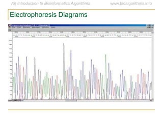 Electrophoresis Diagrams
 
