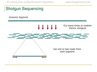 Shotgun Sequencing
Cut many times at random
(hence shotgun)
Genomic Segment
Get one or two reads from
each segment
 