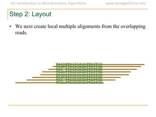 • We next create local multiple alignments from the overlapping
reads.
TAGATTACACAGATTACTGA
TAGATTACACAGATTACTGA
TAG TTACACAGATTATTGA
TAGATTACACAGATTACTGA
TAGATTACACAGATTACTGA
TAGATTACACAGATTACTGA
TAG TTACACAGATTATTGA
TAGATTACACAGATTACTGA
Step 2: Layout
 