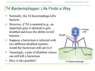 T4 Bacteriophages: Life Finds a Way
• Normally, the T4 bacteriophage kills
bacteria
• However, if T4 is mutated (e.g., an
important gene is deleted) it gets
disabled and loses the ability to kill
bacteria
• Suppose a bacterium is infected with
two different disabled mutants–
would the bacterium still survive?
• Amazingly, a pair of disabled viruses
can still kill a bacterium.
• How is this possible? T4 Bacteriophage
 