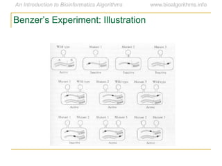 Benzer’s Experiment: Illustration
 