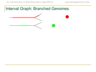 Interval Graph: Branched Genomes
 