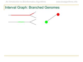 Interval Graph: Branched Genomes
 