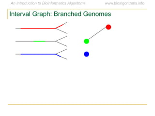 Interval Graph: Branched Genomes
 