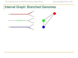 Interval Graph: Branched Genomes
 