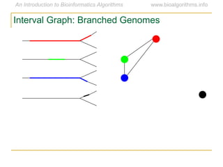 Interval Graph: Branched Genomes
 