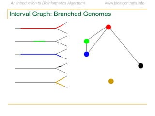 Interval Graph: Branched Genomes
 