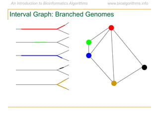 Interval Graph: Branched Genomes
 
