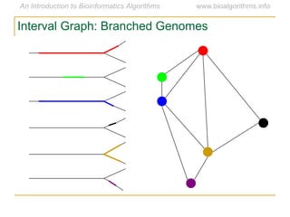 Interval Graph: Branched Genomes
 