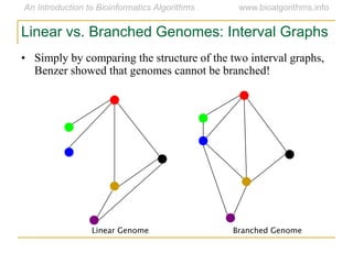 Linear Genome Branched Genome
Linear vs. Branched Genomes: Interval Graphs
• Simply by comparing the structure of the two interval graphs,
Benzer showed that genomes cannot be branched!
 