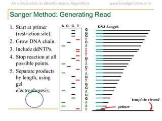 Sanger Method: Generating Read
1. Start at primer
(restriction site).
2. Grow DNA chain.
3. Include ddNTPs.
4. Stop reaction at all
possible points.
5. Separate products
by length, using
gel
electrophoresis.
 
