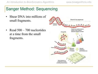 Sanger Method: Sequencing
• Shear DNA into millions of
small fragments.
• Read 500 – 700 nucleotides
at a time from the small
fragments.
 