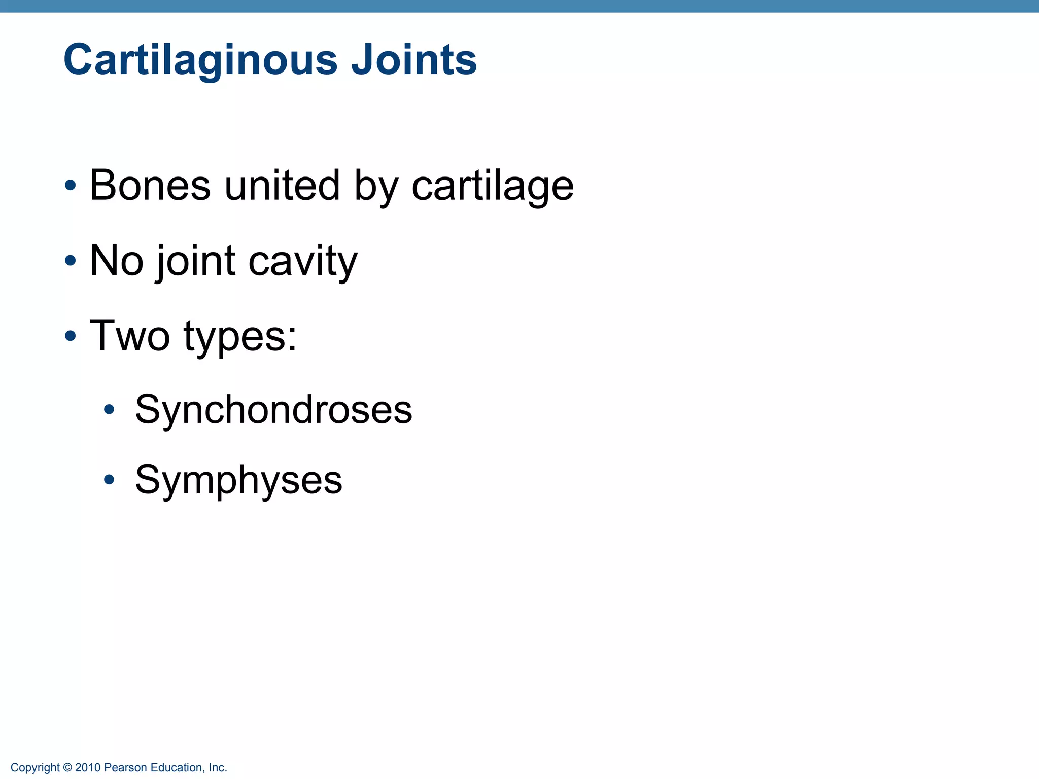 Cartilaginous Joints Bones united by cartilage No joint cavity Two types: Synchondroses Symphyses 