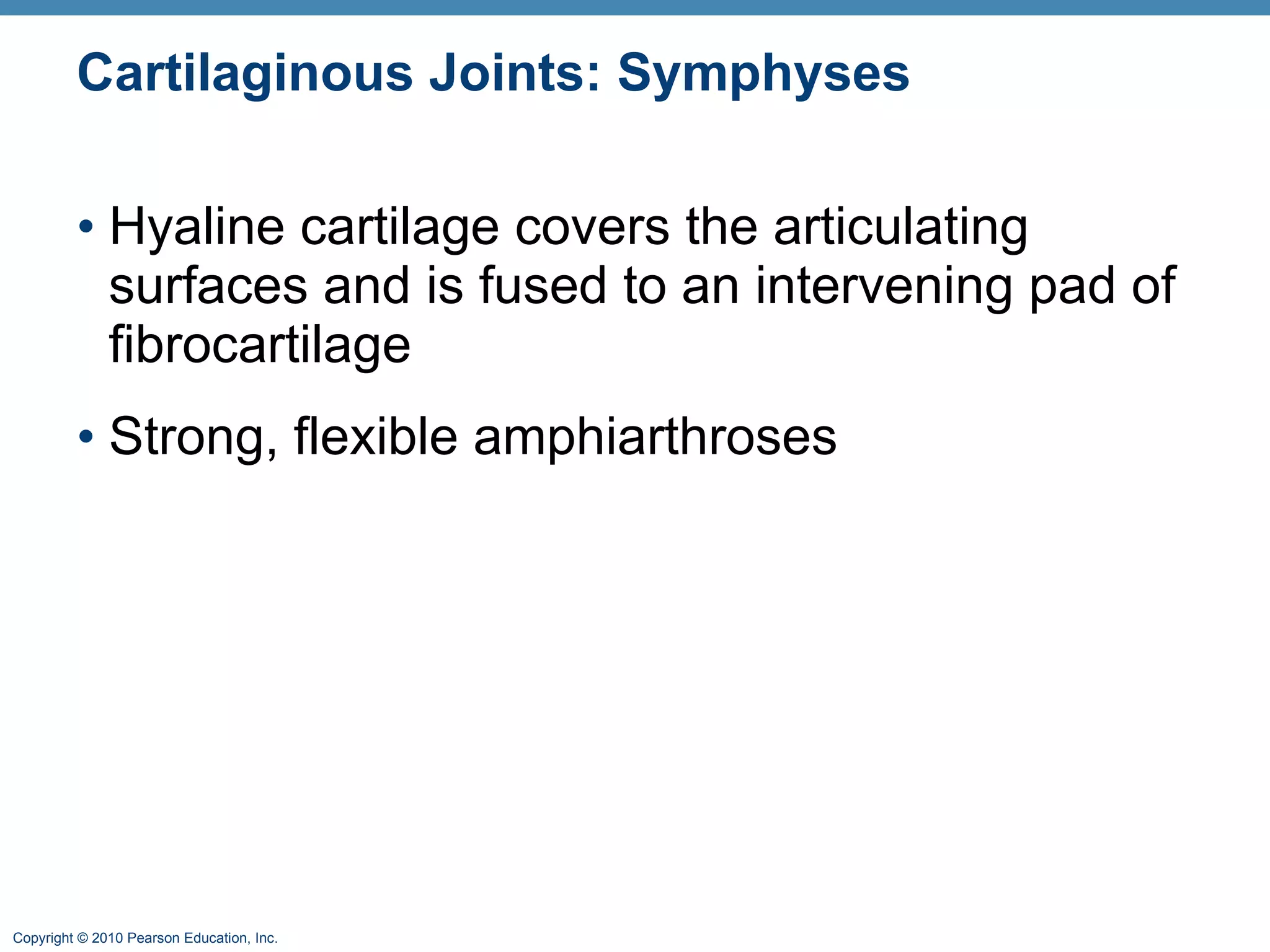 Cartilaginous Joints: Symphyses Hyaline cartilage covers the articulating surfaces and is fused to an intervening pad of fibrocartilage Strong, flexible amphiarthroses  