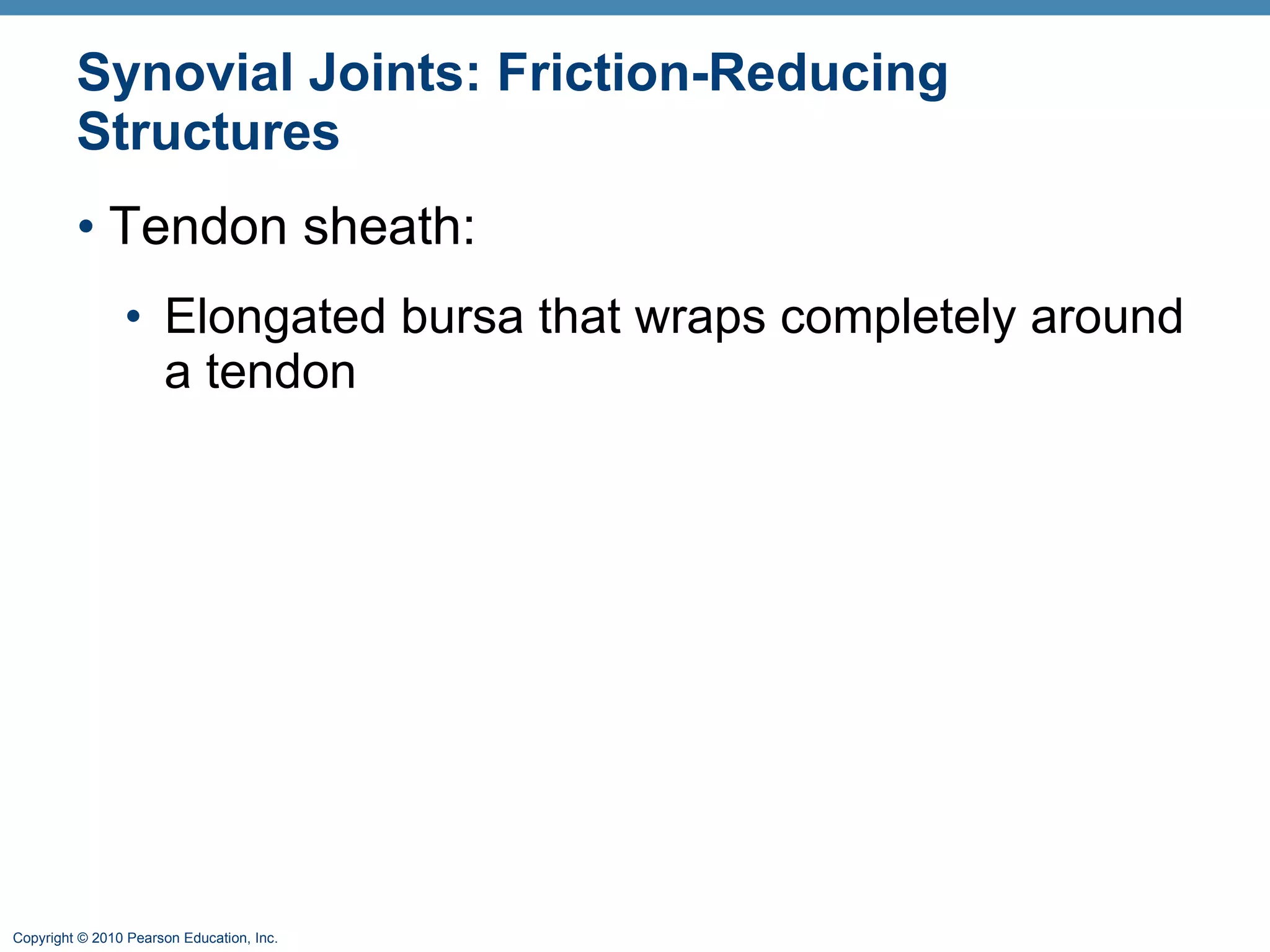 Synovial Joints: Friction-Reducing Structures Tendon sheath: Elongated bursa that wraps completely around a tendon 
