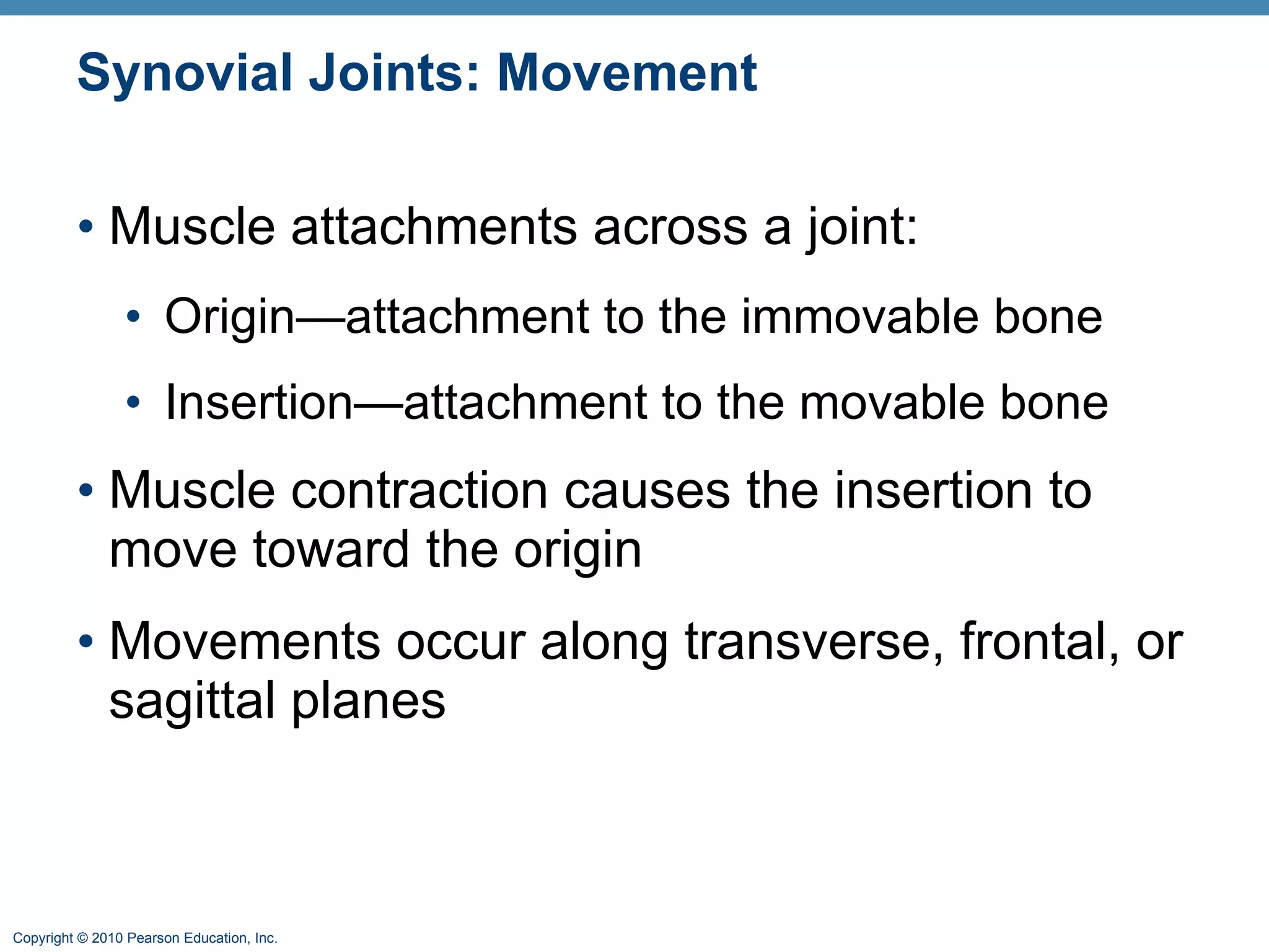 Synovial Joints: Movement Muscle attachments across a joint: Origin—attachment to the immovable bone Insertion—attachment to the movable bone Muscle contraction causes the insertion to move toward the origin Movements occur along transverse, frontal, or sagittal planes 