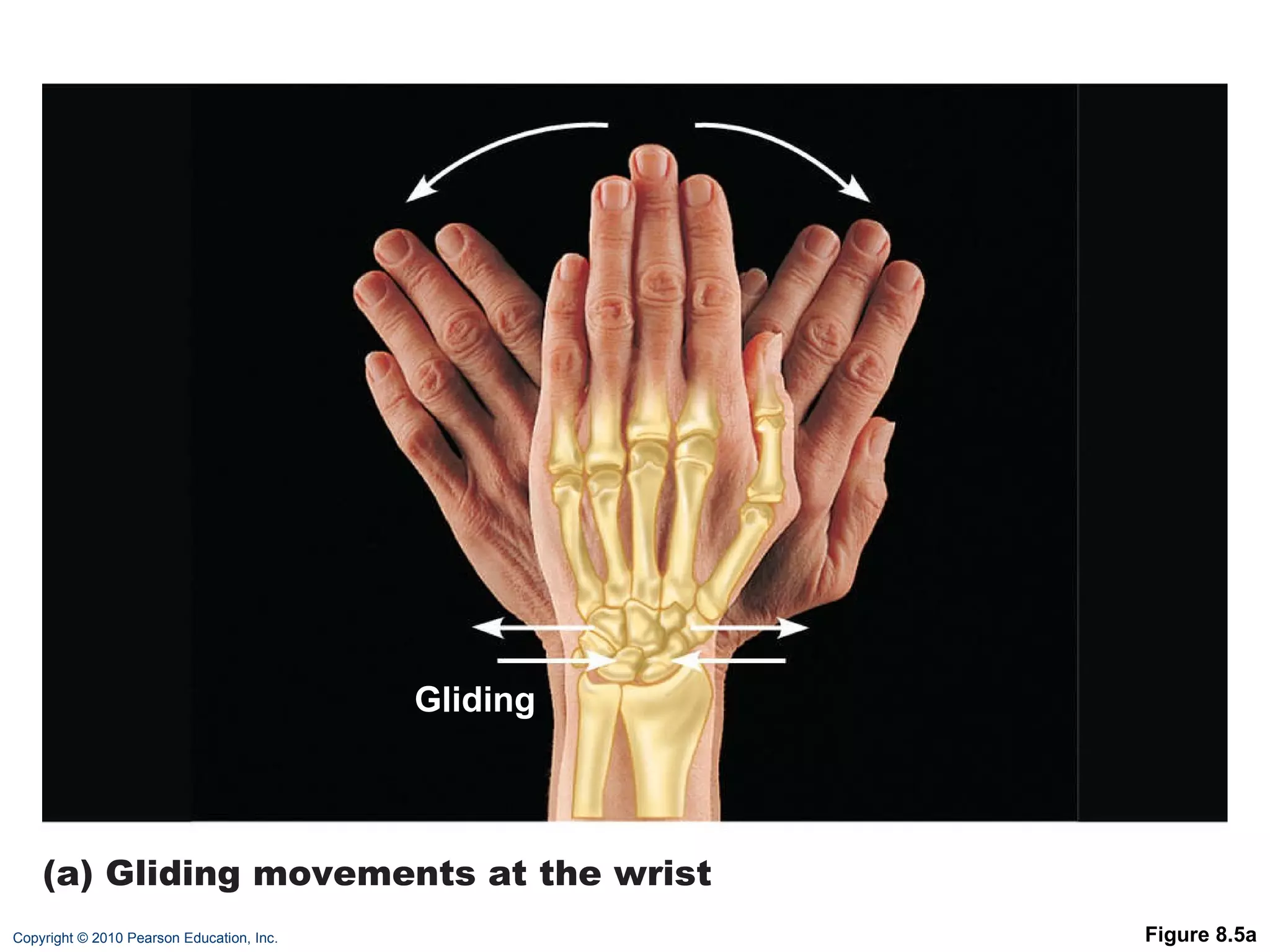 Figure 8.5a Gliding (a) Gliding movements at the wrist 