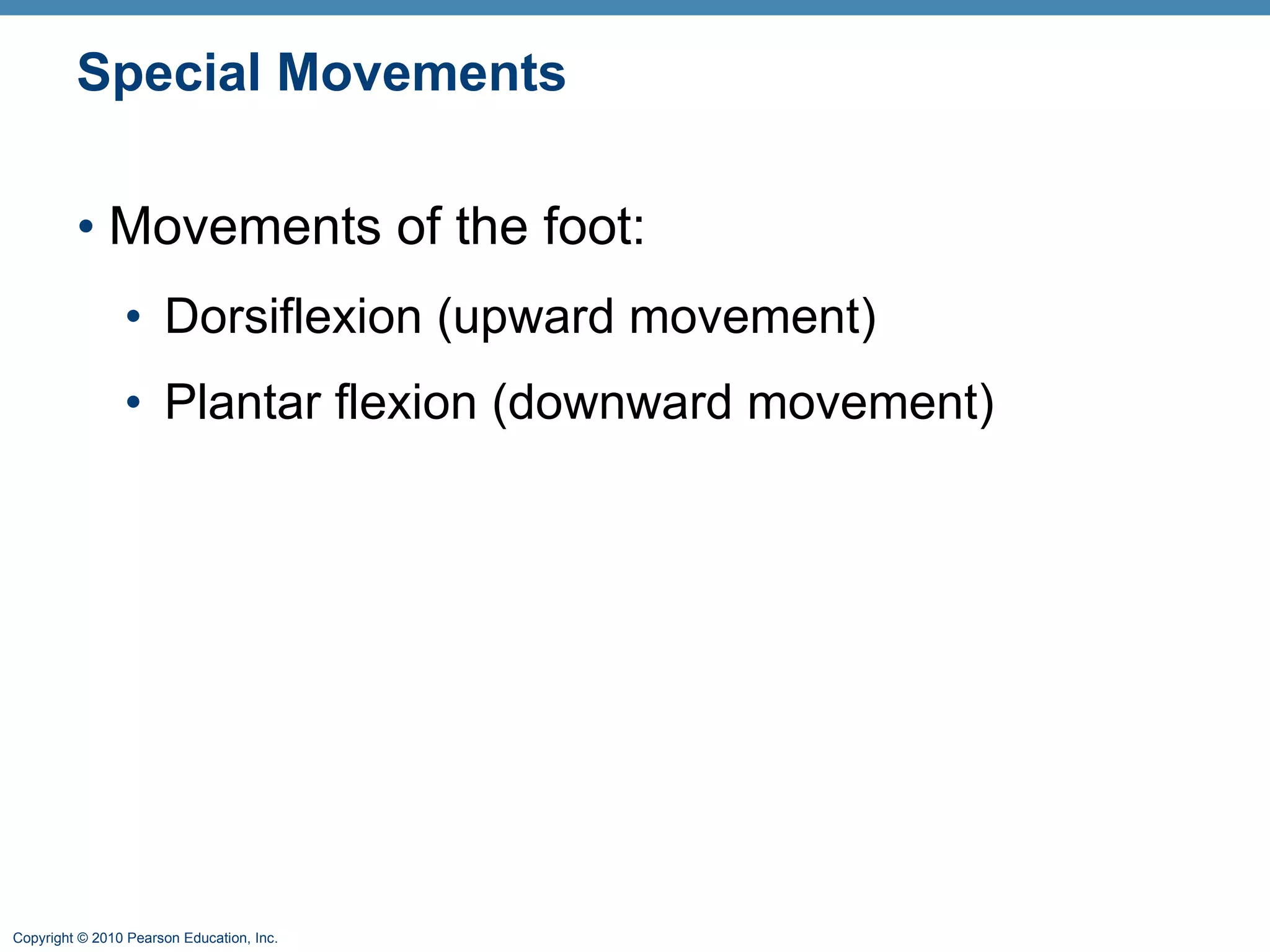 Special Movements Movements of the foot: Dorsiflexion (upward movement)  Plantar flexion (downward movement) 