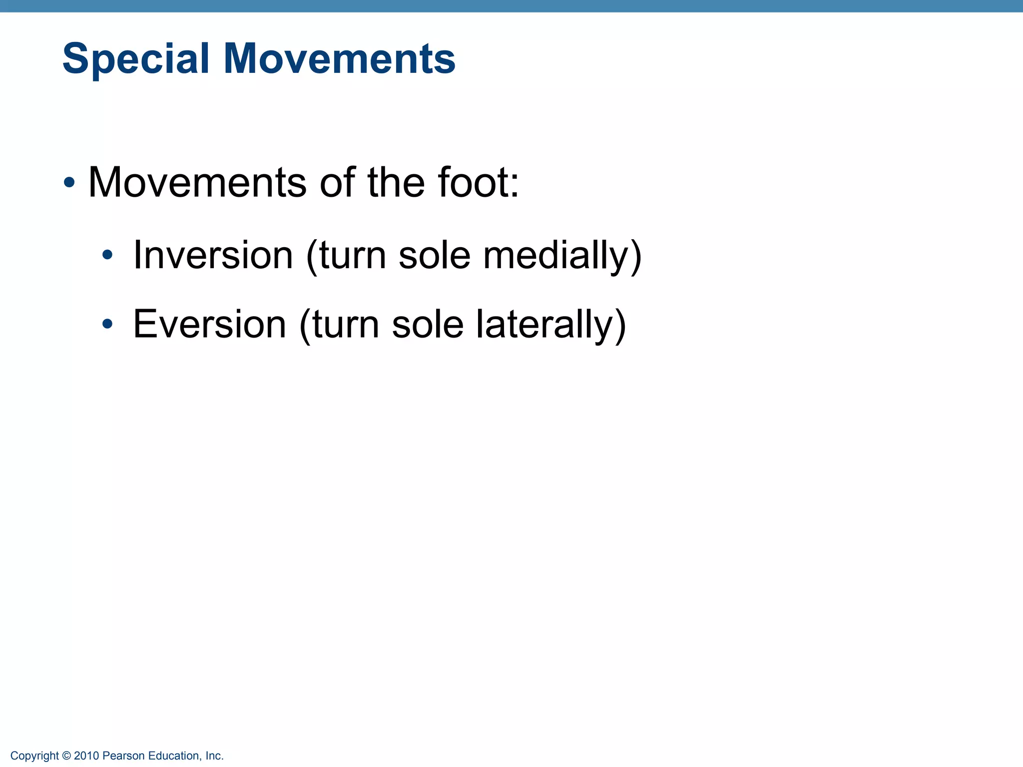 Special Movements Movements of the foot: Inversion (turn sole medially) Eversion (turn sole laterally) 