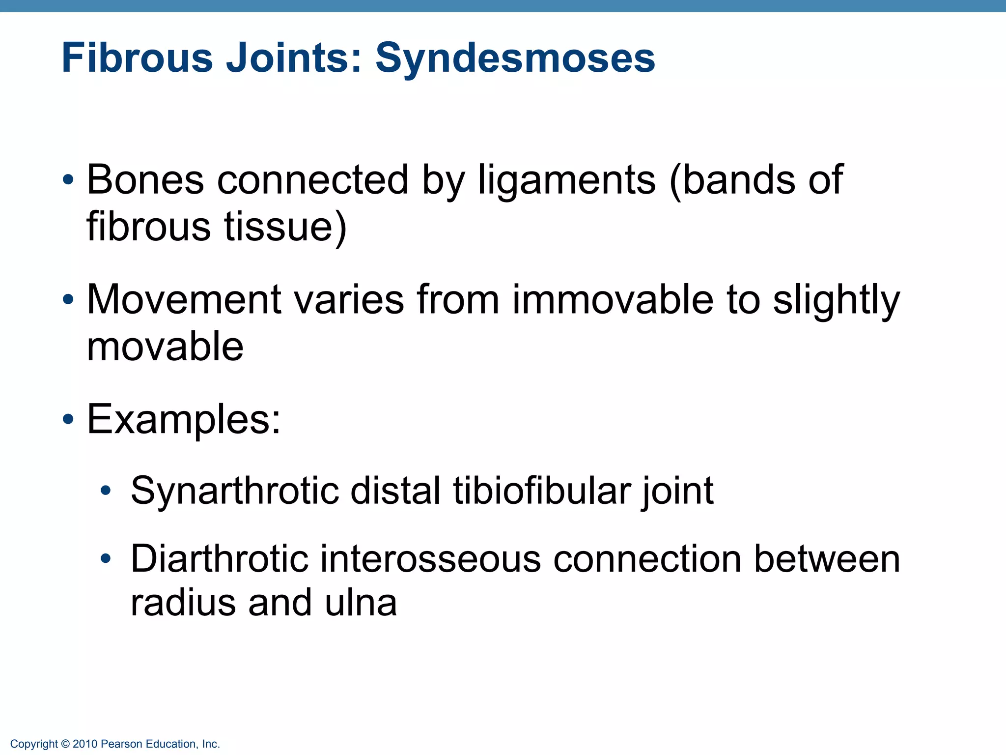 Fibrous Joints: Syndesmoses Bones connected by ligaments (bands of fibrous tissue) Movement varies from immovable to slightly movable Examples:  Synarthrotic distal tibiofibular joint Diarthrotic interosseous connection between radius and ulna  