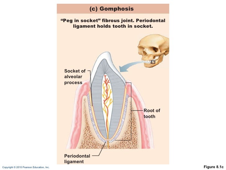 Ch 08 lecture_outline_a
