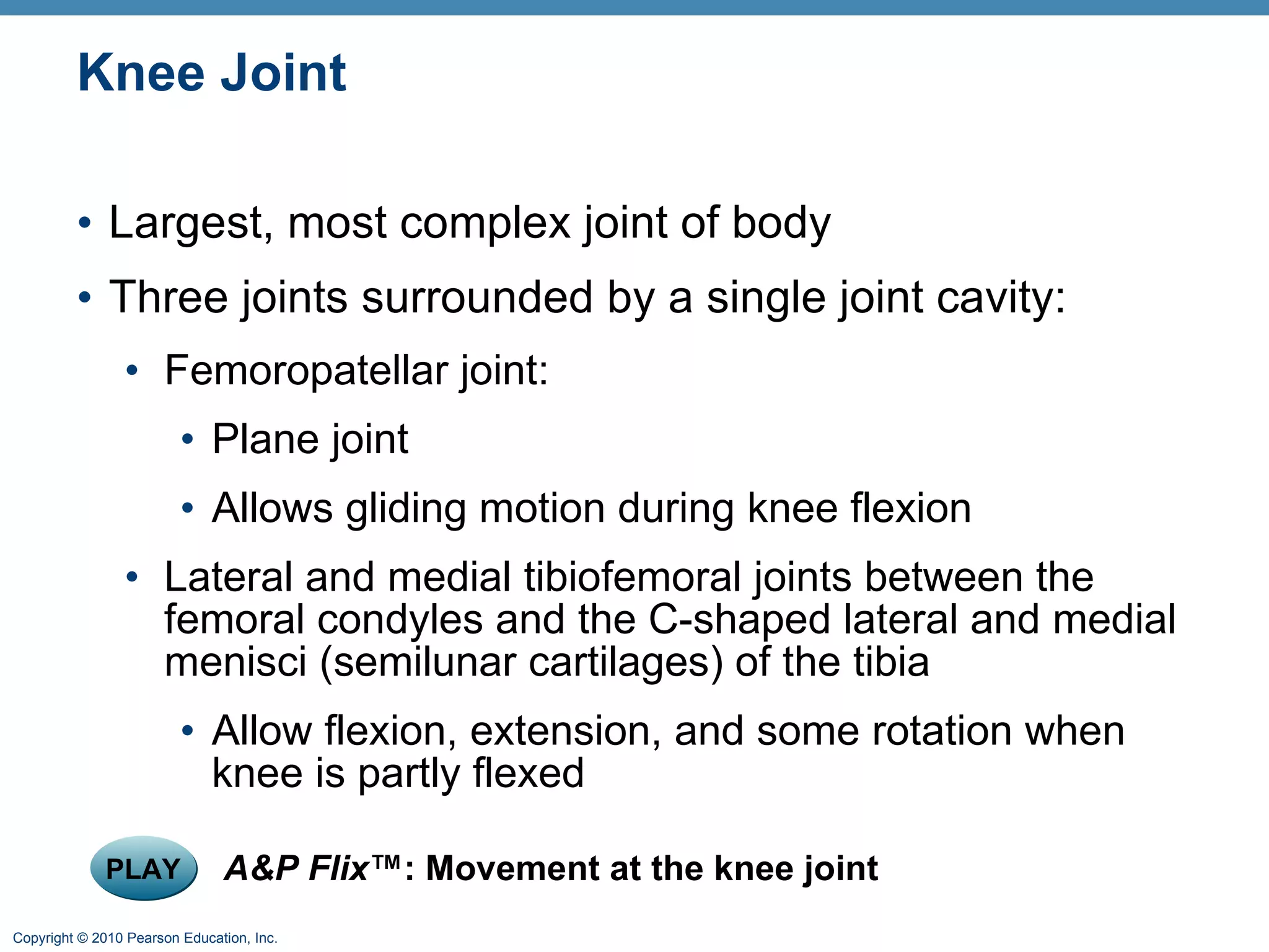 Knee Joint Largest, most complex joint of body Three joints surrounded by a single joint cavity: Femoropatellar joint: Plane joint Allows gliding motion during knee flexion Lateral and medial tibiofemoral joints between the femoral condyles and the C-shaped lateral and medial menisci (semilunar cartilages) of the tibia Allow flexion, extension, and some rotation when knee is partly flexed PLAY A&P Flix ™: Movement at the knee joint 