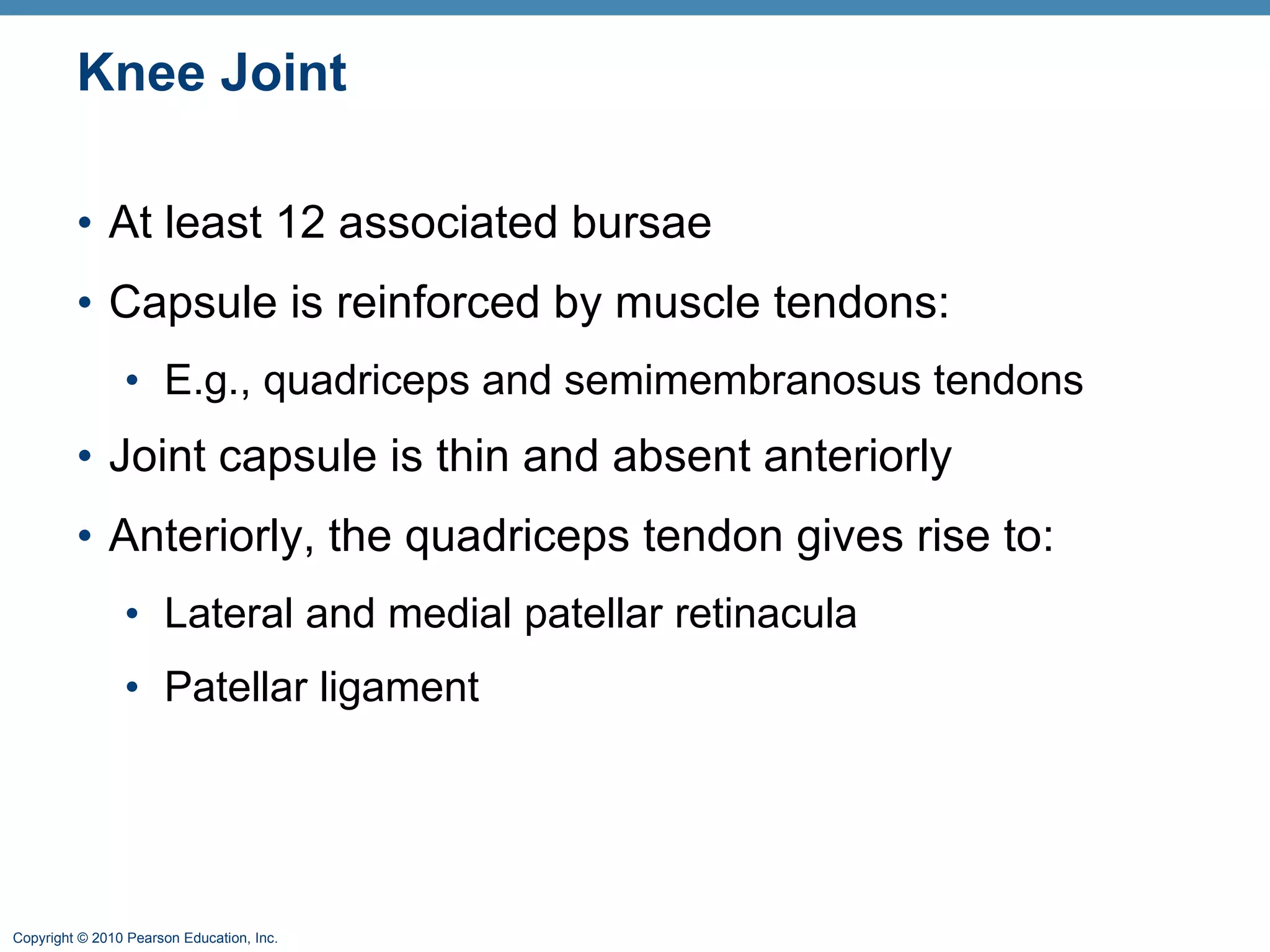 Knee Joint At least 12 associated bursae Capsule is reinforced by muscle tendons: E.g., quadriceps and semimembranosus tendons Joint capsule is thin and absent anteriorly Anteriorly, the quadriceps tendon gives rise to: Lateral and medial patellar retinacula Patellar ligament 