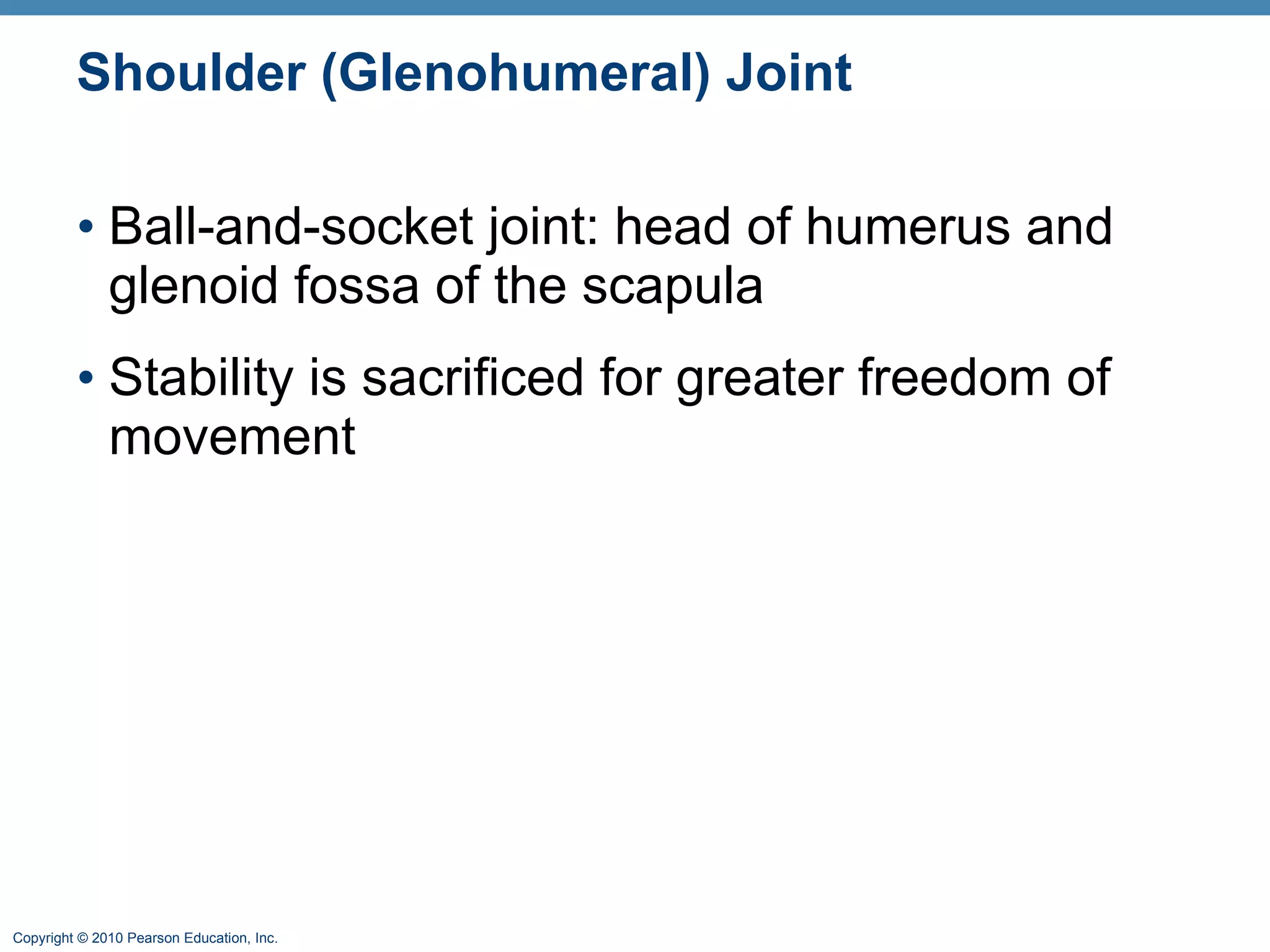 Shoulder (Glenohumeral) Joint Ball-and-socket joint: head of humerus and glenoid fossa of the scapula Stability is sacrificed for greater freedom of movement 
