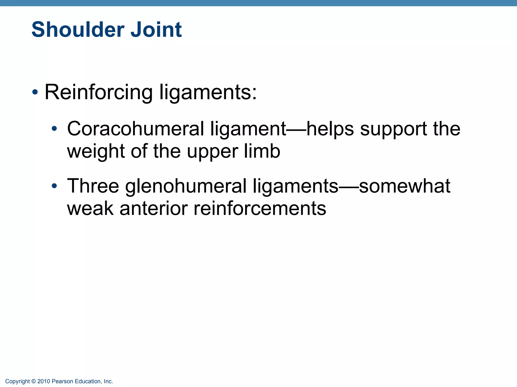 Shoulder Joint Reinforcing ligaments: Coracohumeral ligament—helps support the weight of the upper limb Three glenohumeral ligaments—somewhat weak anterior reinforcements 