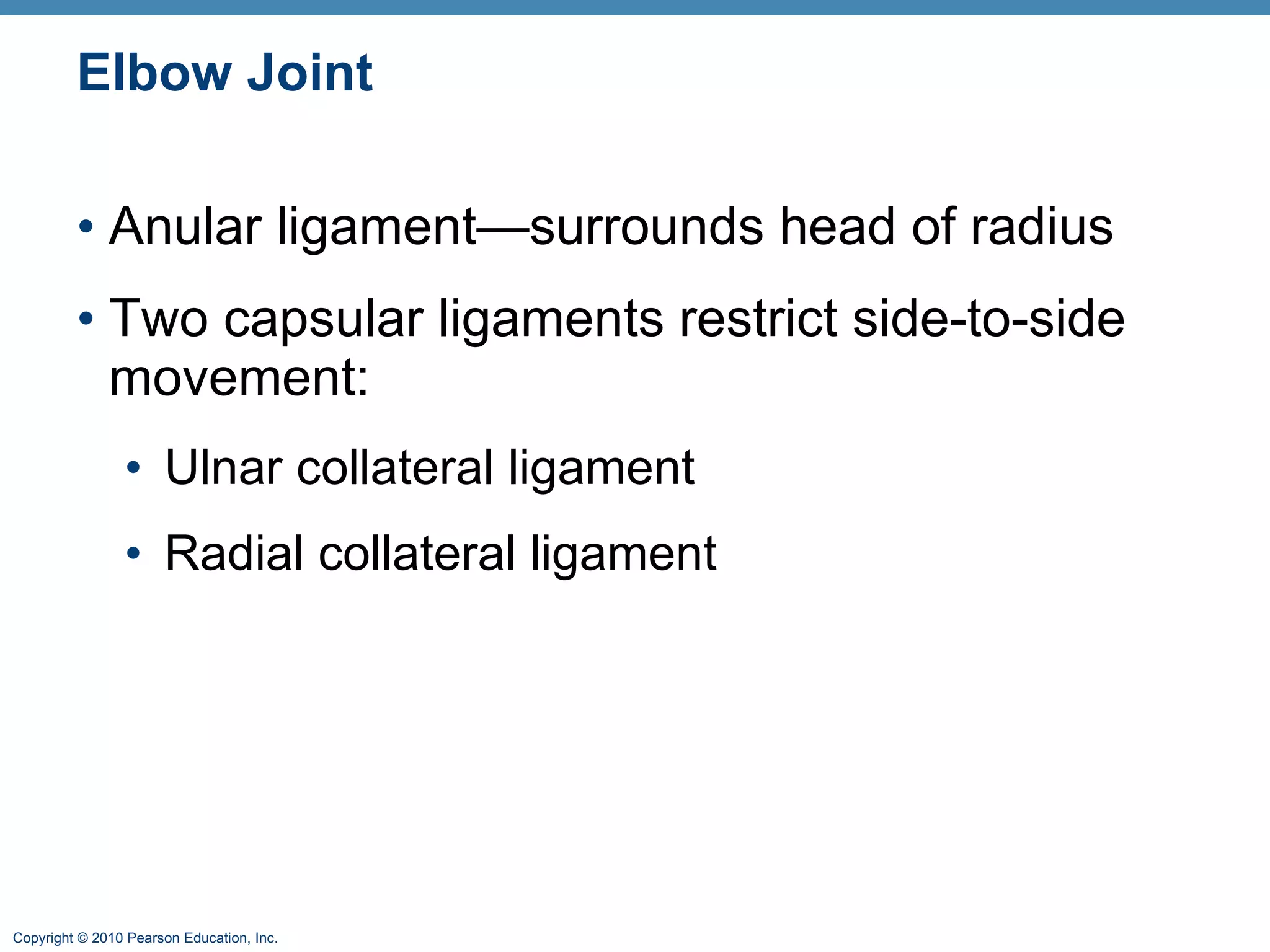 Elbow Joint Anular ligament—surrounds head of radius Two capsular ligaments restrict side-to-side movement: Ulnar collateral ligament Radial collateral ligament 