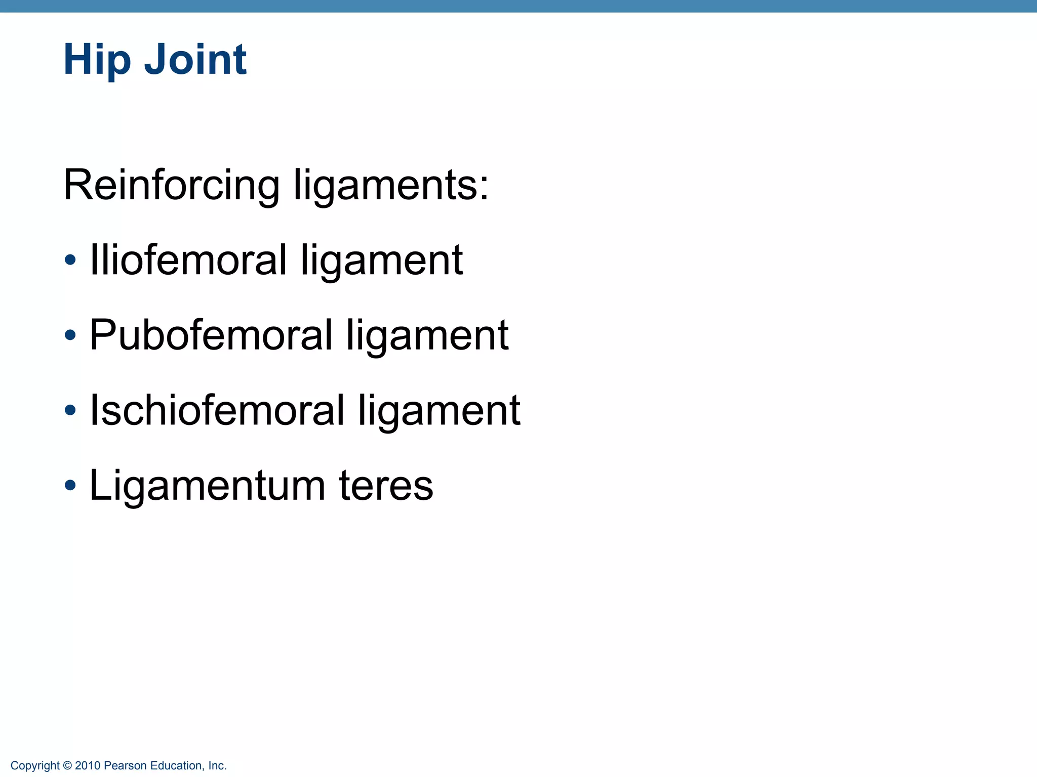 Hip Joint Reinforcing ligaments: Iliofemoral ligament Pubofemoral ligament Ischiofemoral ligament Ligamentum teres 