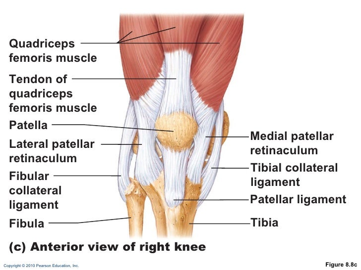 Ch 08 lecture_outline_b